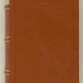 Zdjęcie nr 1 dla obiektu archiwalnego: [Acta constitutionum procuratorum officialia coram Jacobo de Ercieschow]