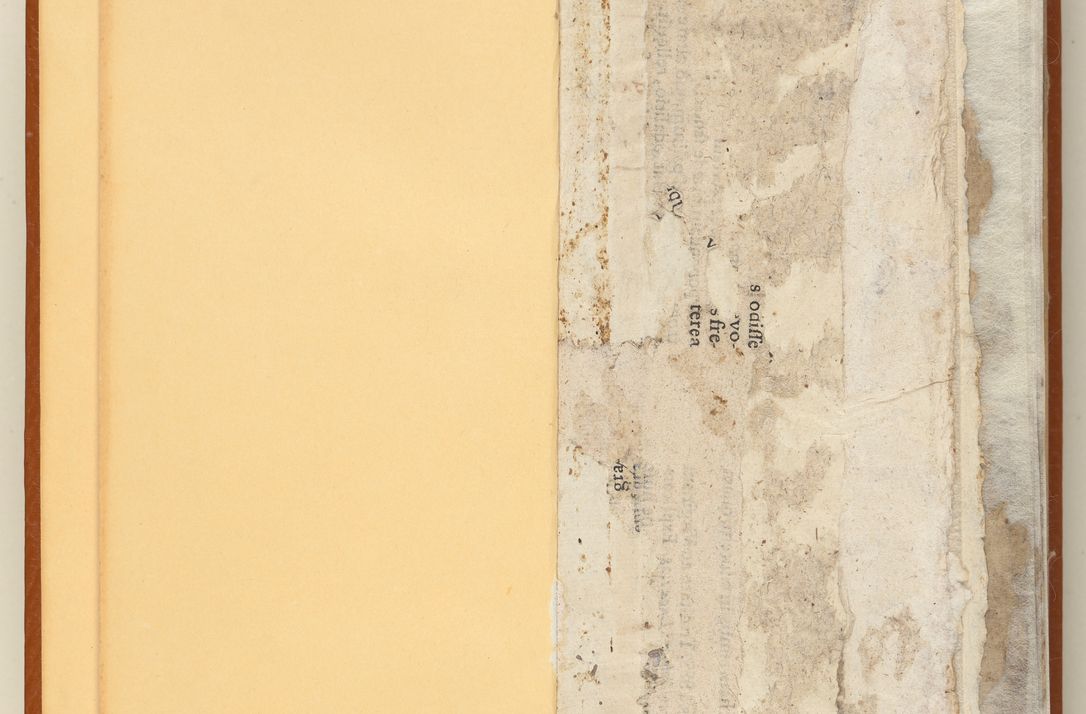 Zdjęcie nr 4 dla obiektu archiwalnego: [Acta constitutionum procuratorum officialia coram Jacobo de Ercieschow]