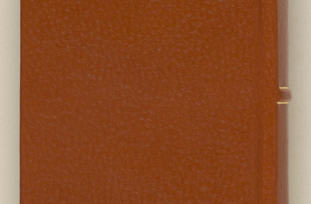 Zdjęcie nr 2 dla obiektu archiwalnego: [Acta constitutionum procuratorum officialia coram Jacobo de Ercieschow]