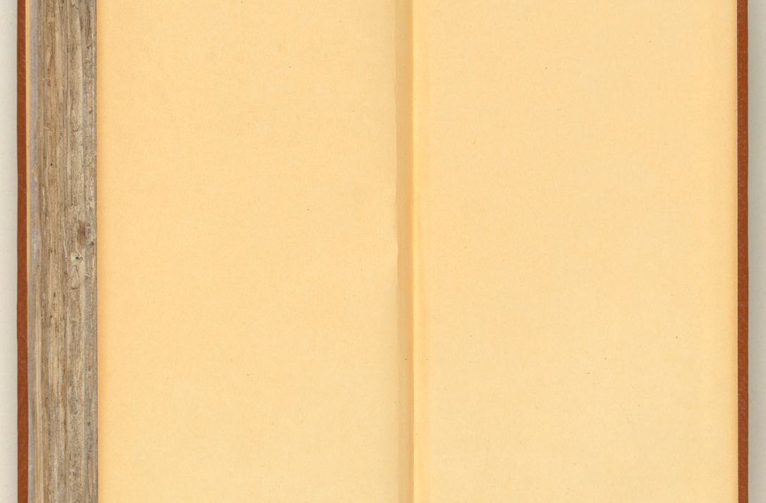 Zdjęcie nr 263 dla obiektu archiwalnego: [Acta constitutionum procuratorum officialia coram Jacobo de Ercieschow]