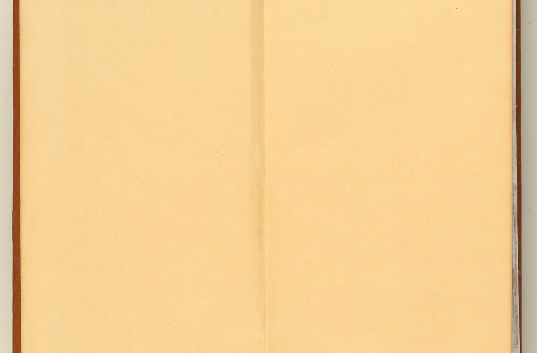 Zdjęcie nr 3 dla obiektu archiwalnego: [Acta constitutionum procuratorum officialia coram Jacobo de Ercieschow]