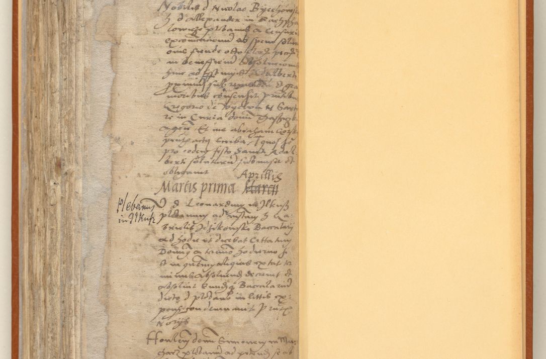 Zdjęcie nr 262 dla obiektu archiwalnego: [Acta constitutionum procuratorum officialia coram Jacobo de Ercieschow]