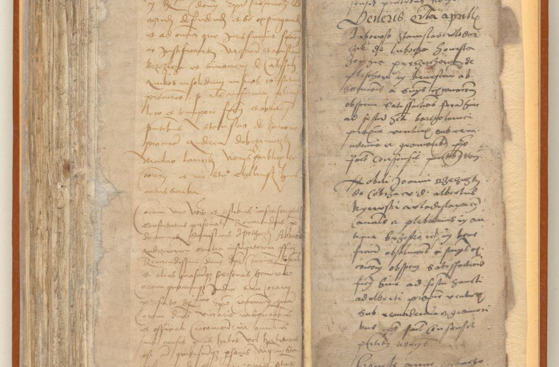 Zdjęcie nr 261 dla obiektu archiwalnego: [Acta constitutionum procuratorum officialia coram Jacobo de Ercieschow]