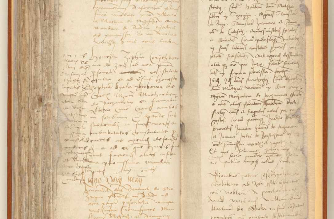 Zdjęcie nr 260 dla obiektu archiwalnego: [Acta constitutionum procuratorum officialia coram Jacobo de Ercieschow]