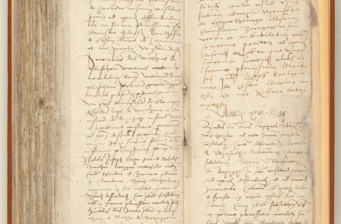 Zdjęcie nr 259 dla obiektu archiwalnego: [Acta constitutionum procuratorum officialia coram Jacobo de Ercieschow]