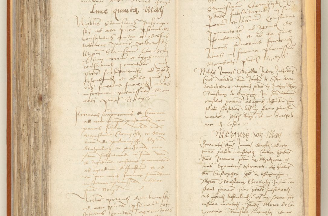 Zdjęcie nr 256 dla obiektu archiwalnego: [Acta constitutionum procuratorum officialia coram Jacobo de Ercieschow]