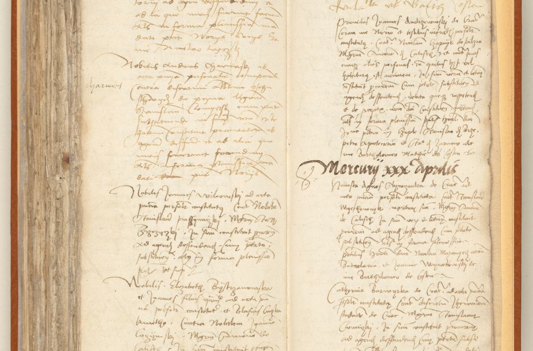 Zdjęcie nr 255 dla obiektu archiwalnego: [Acta constitutionum procuratorum officialia coram Jacobo de Ercieschow]