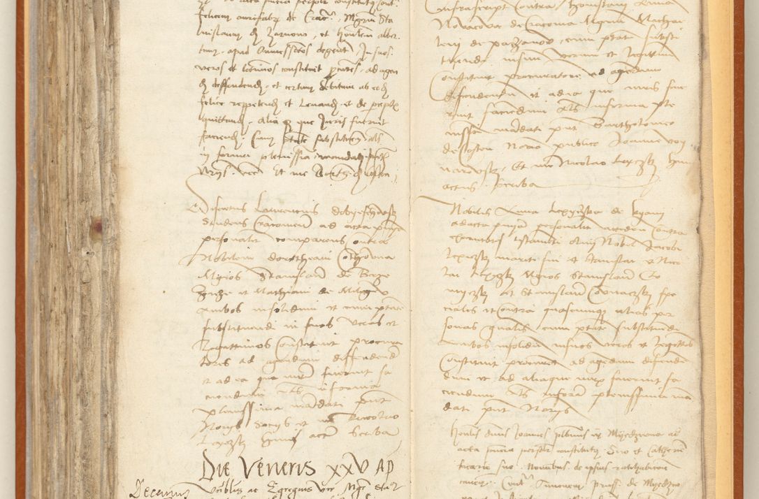 Zdjęcie nr 253 dla obiektu archiwalnego: [Acta constitutionum procuratorum officialia coram Jacobo de Ercieschow]