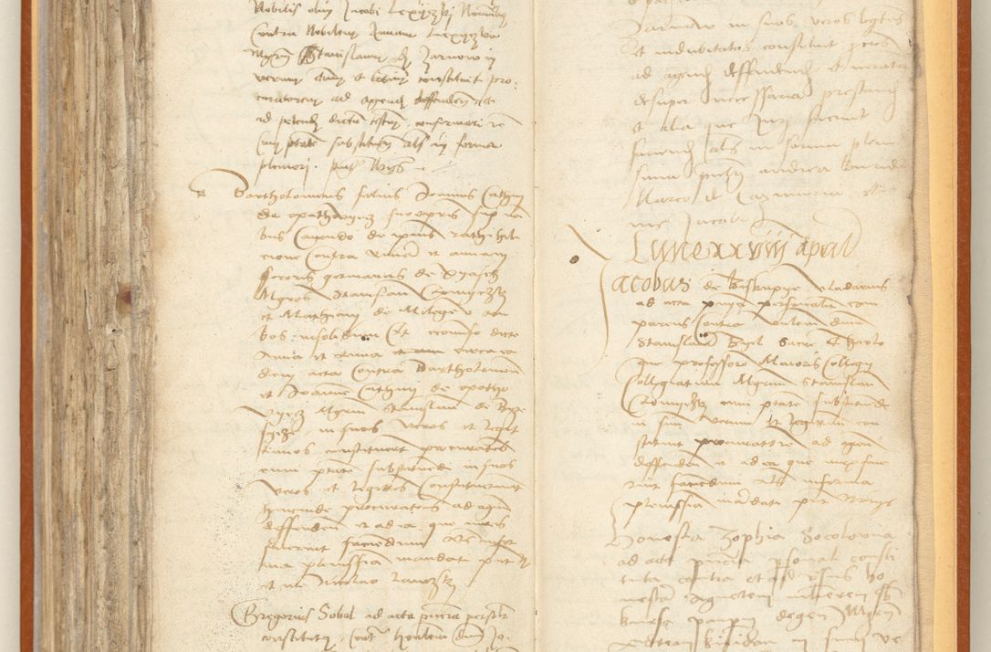 Zdjęcie nr 254 dla obiektu archiwalnego: [Acta constitutionum procuratorum officialia coram Jacobo de Ercieschow]