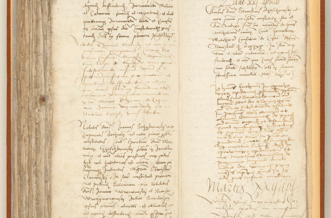 Zdjęcie nr 252 dla obiektu archiwalnego: [Acta constitutionum procuratorum officialia coram Jacobo de Ercieschow]