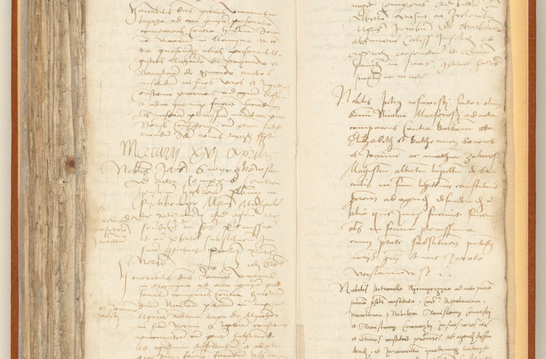 Zdjęcie nr 251 dla obiektu archiwalnego: [Acta constitutionum procuratorum officialia coram Jacobo de Ercieschow]