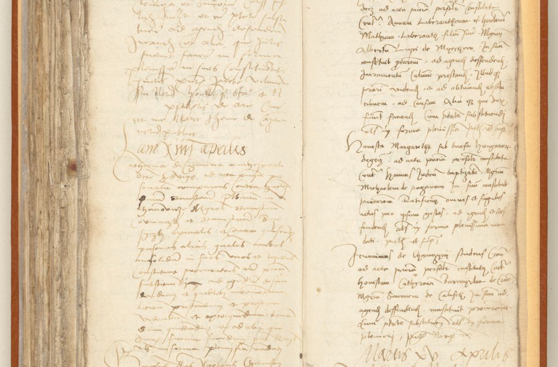 Zdjęcie nr 250 dla obiektu archiwalnego: [Acta constitutionum procuratorum officialia coram Jacobo de Ercieschow]