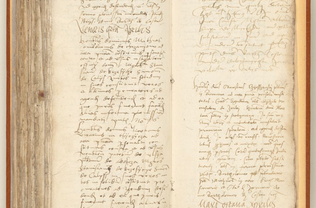 Zdjęcie nr 248 dla obiektu archiwalnego: [Acta constitutionum procuratorum officialia coram Jacobo de Ercieschow]