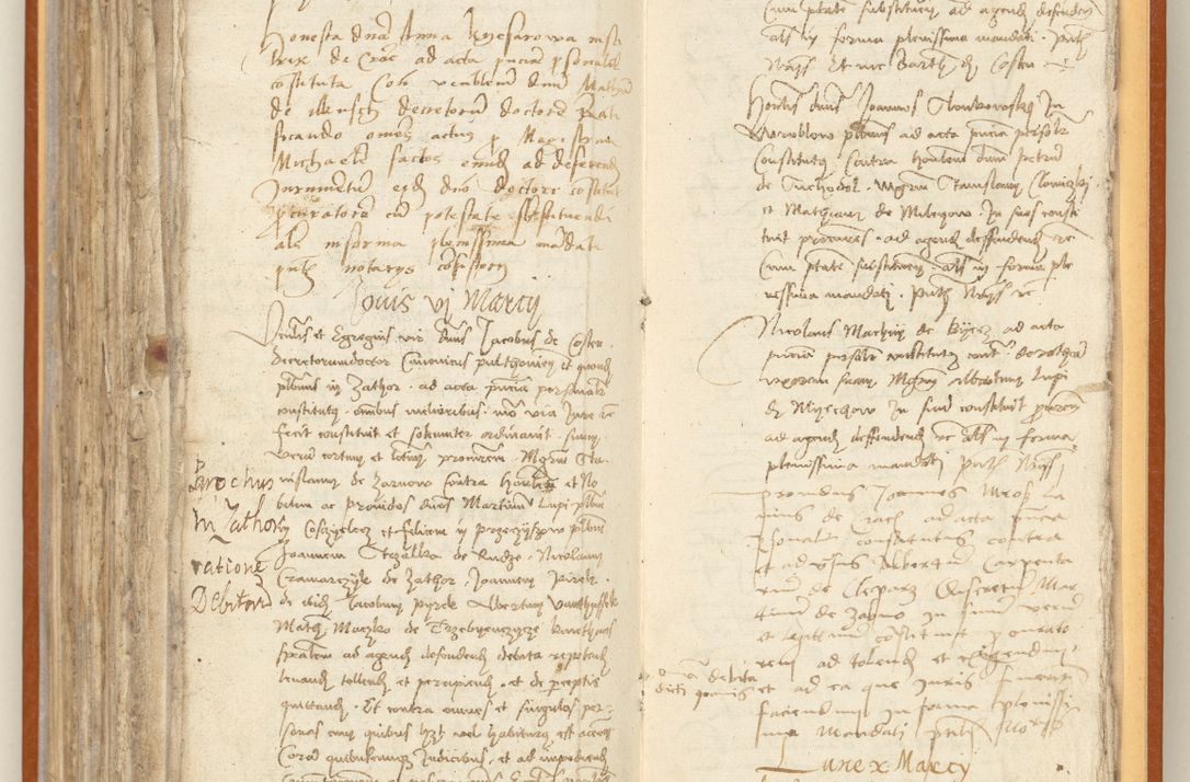 Zdjęcie nr 243 dla obiektu archiwalnego: [Acta constitutionum procuratorum officialia coram Jacobo de Ercieschow]