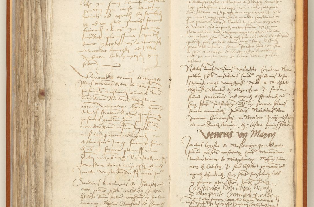 Zdjęcie nr 242 dla obiektu archiwalnego: [Acta constitutionum procuratorum officialia coram Jacobo de Ercieschow]