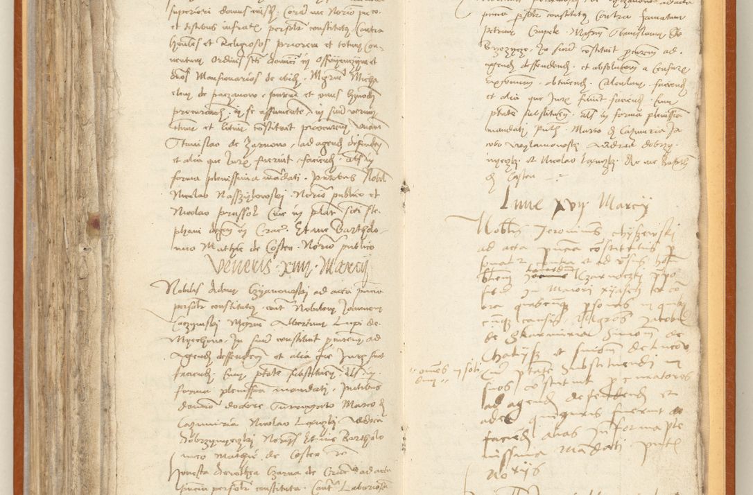 Zdjęcie nr 245 dla obiektu archiwalnego: [Acta constitutionum procuratorum officialia coram Jacobo de Ercieschow]