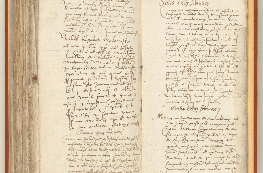 Zdjęcie nr 239 dla obiektu archiwalnego: [Acta constitutionum procuratorum officialia coram Jacobo de Ercieschow]