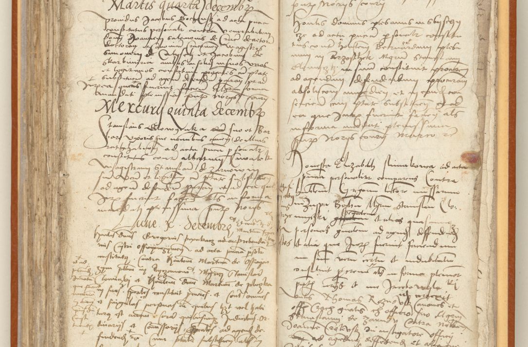 Zdjęcie nr 234 dla obiektu archiwalnego: [Acta constitutionum procuratorum officialia coram Jacobo de Ercieschow]