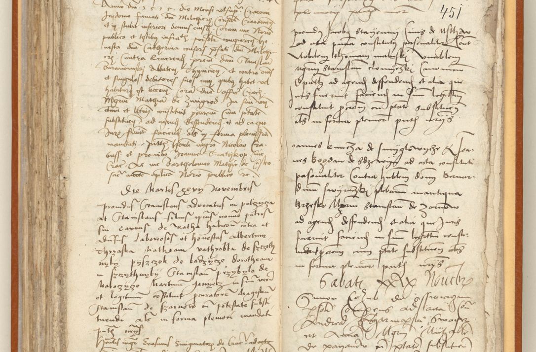 Zdjęcie nr 233 dla obiektu archiwalnego: [Acta constitutionum procuratorum officialia coram Jacobo de Ercieschow]