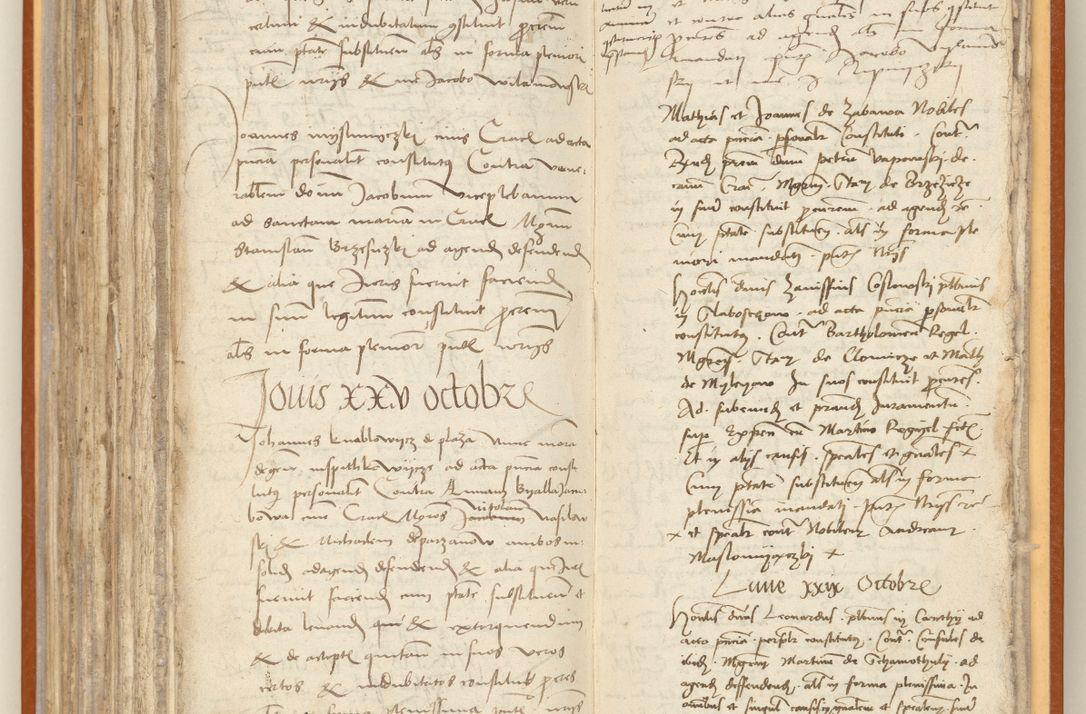 Zdjęcie nr 227 dla obiektu archiwalnego: [Acta constitutionum procuratorum officialia coram Jacobo de Ercieschow]