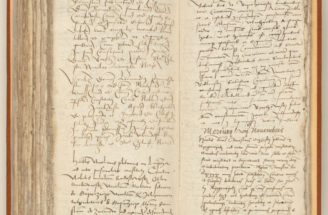 Zdjęcie nr 229 dla obiektu archiwalnego: [Acta constitutionum procuratorum officialia coram Jacobo de Ercieschow]