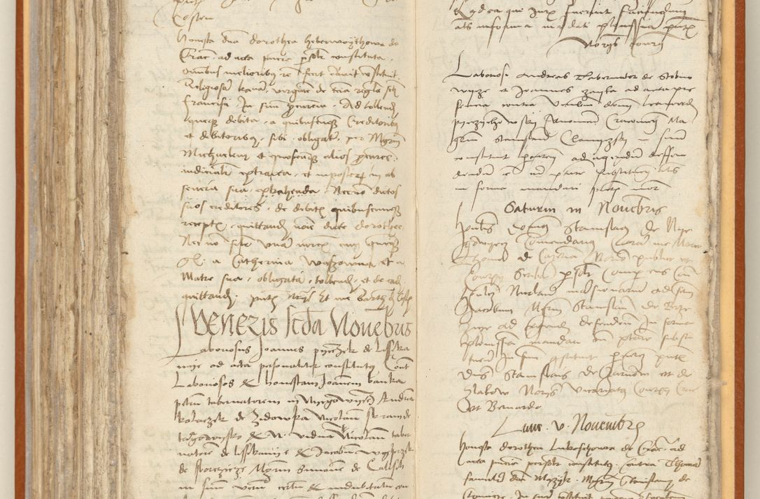 Zdjęcie nr 228 dla obiektu archiwalnego: [Acta constitutionum procuratorum officialia coram Jacobo de Ercieschow]