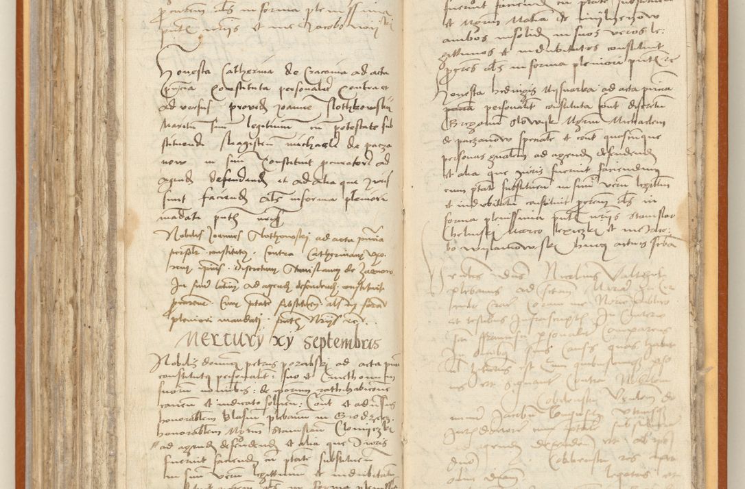 Zdjęcie nr 220 dla obiektu archiwalnego: [Acta constitutionum procuratorum officialia coram Jacobo de Ercieschow]