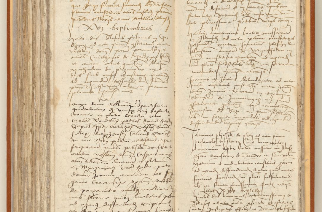 Zdjęcie nr 221 dla obiektu archiwalnego: [Acta constitutionum procuratorum officialia coram Jacobo de Ercieschow]