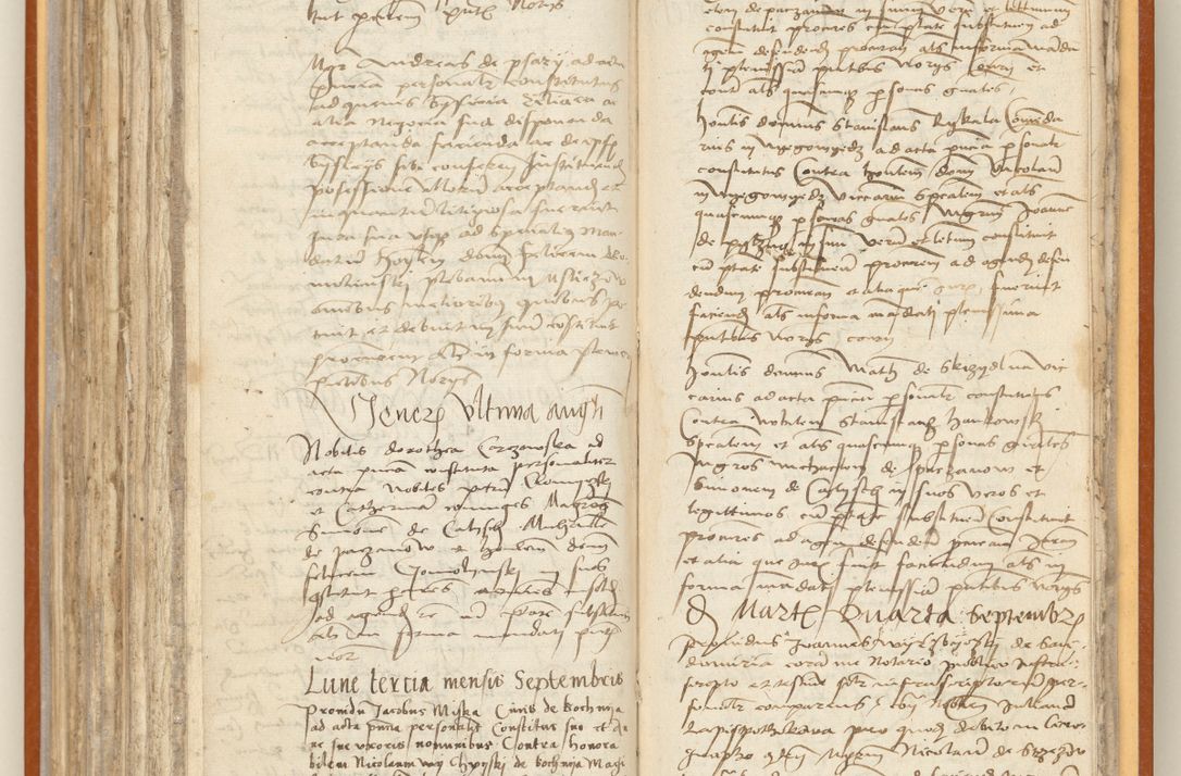 Zdjęcie nr 218 dla obiektu archiwalnego: [Acta constitutionum procuratorum officialia coram Jacobo de Ercieschow]