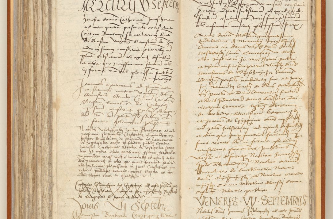 Zdjęcie nr 219 dla obiektu archiwalnego: [Acta constitutionum procuratorum officialia coram Jacobo de Ercieschow]