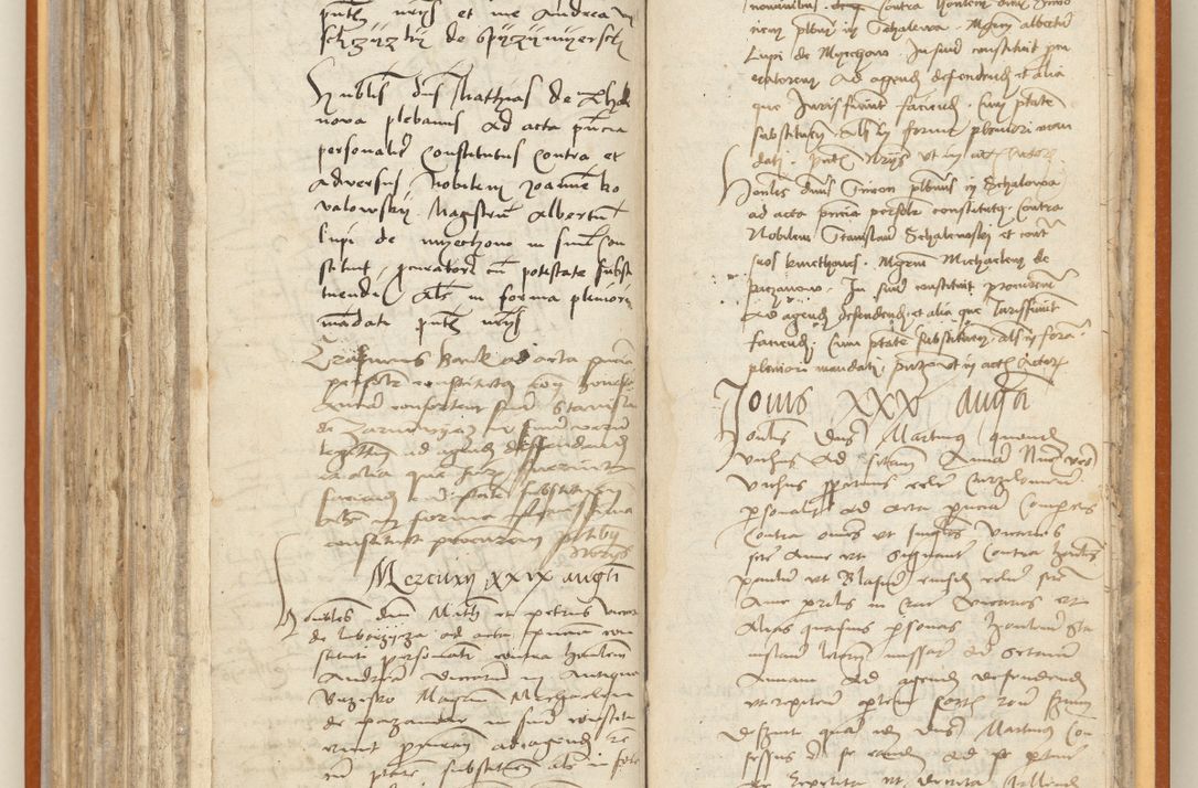 Zdjęcie nr 217 dla obiektu archiwalnego: [Acta constitutionum procuratorum officialia coram Jacobo de Ercieschow]