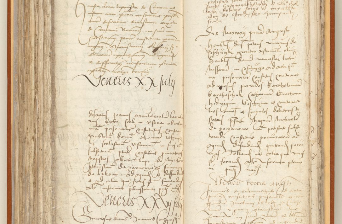 Zdjęcie nr 213 dla obiektu archiwalnego: [Acta constitutionum procuratorum officialia coram Jacobo de Ercieschow]