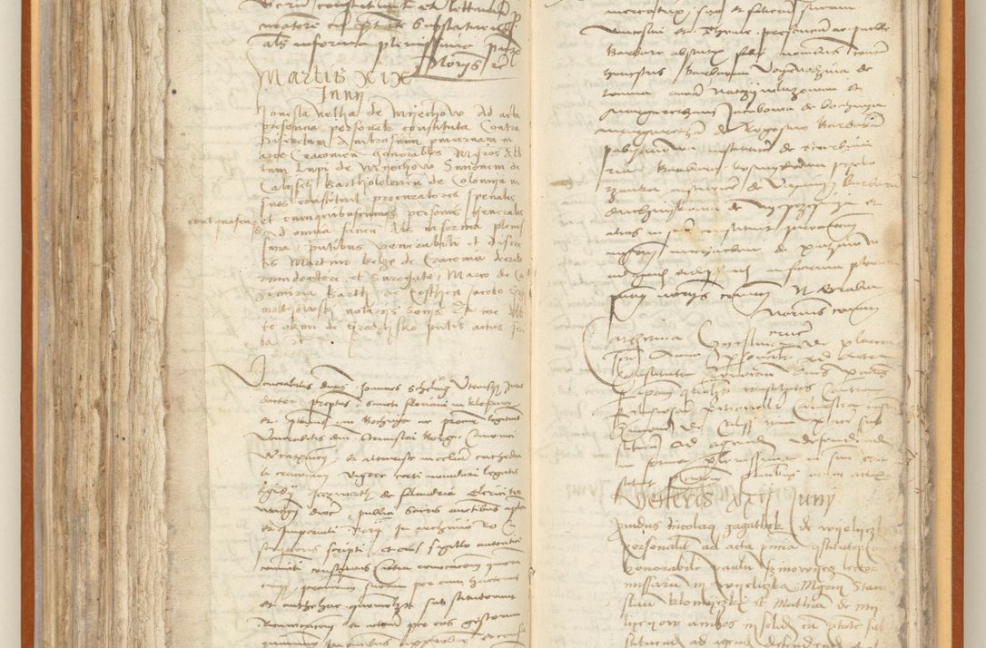 Zdjęcie nr 208 dla obiektu archiwalnego: [Acta constitutionum procuratorum officialia coram Jacobo de Ercieschow]