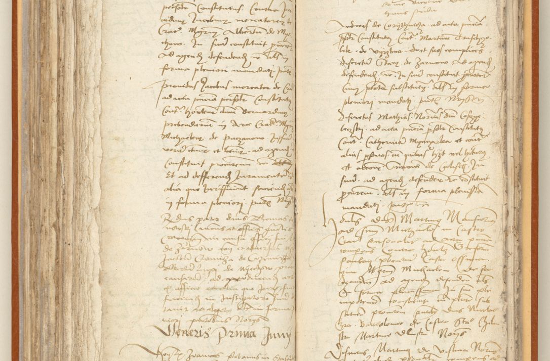 Zdjęcie nr 205 dla obiektu archiwalnego: [Acta constitutionum procuratorum officialia coram Jacobo de Ercieschow]