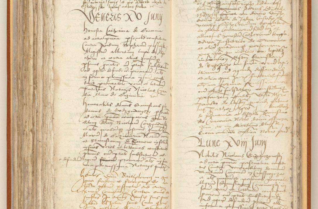 Zdjęcie nr 207 dla obiektu archiwalnego: [Acta constitutionum procuratorum officialia coram Jacobo de Ercieschow]