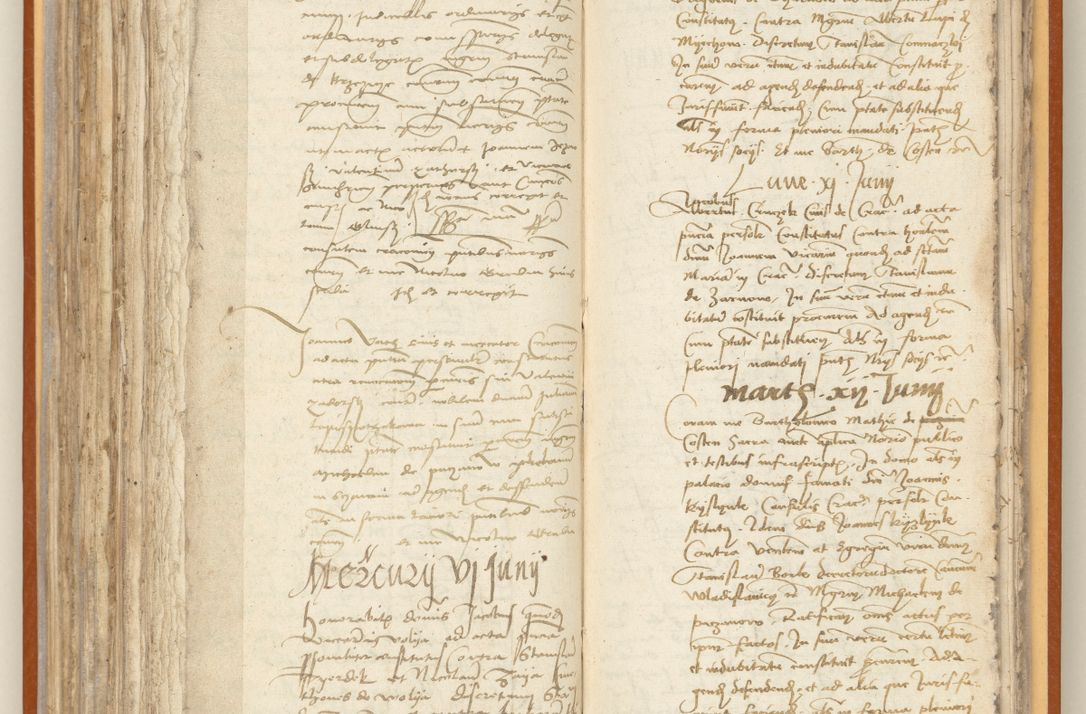 Zdjęcie nr 206 dla obiektu archiwalnego: [Acta constitutionum procuratorum officialia coram Jacobo de Ercieschow]