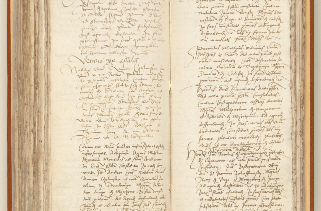 Zdjęcie nr 196 dla obiektu archiwalnego: [Acta constitutionum procuratorum officialia coram Jacobo de Ercieschow]