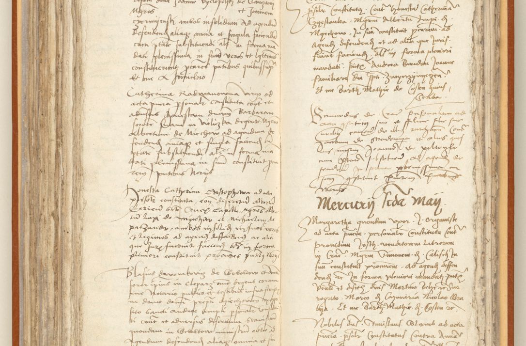 Zdjęcie nr 198 dla obiektu archiwalnego: [Acta constitutionum procuratorum officialia coram Jacobo de Ercieschow]