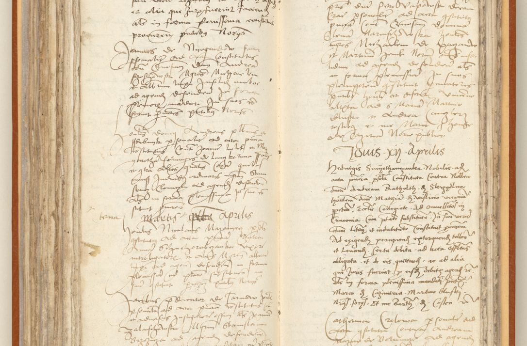 Zdjęcie nr 194 dla obiektu archiwalnego: [Acta constitutionum procuratorum officialia coram Jacobo de Ercieschow]