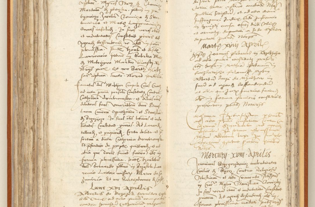 Zdjęcie nr 195 dla obiektu archiwalnego: [Acta constitutionum procuratorum officialia coram Jacobo de Ercieschow]