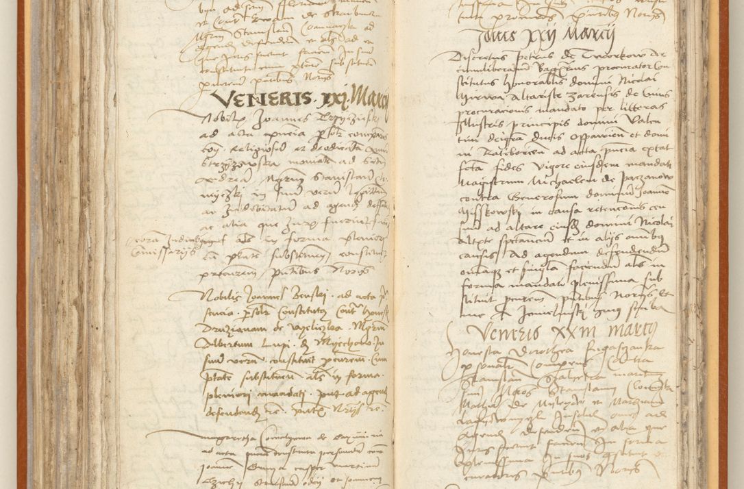 Zdjęcie nr 191 dla obiektu archiwalnego: [Acta constitutionum procuratorum officialia coram Jacobo de Ercieschow]