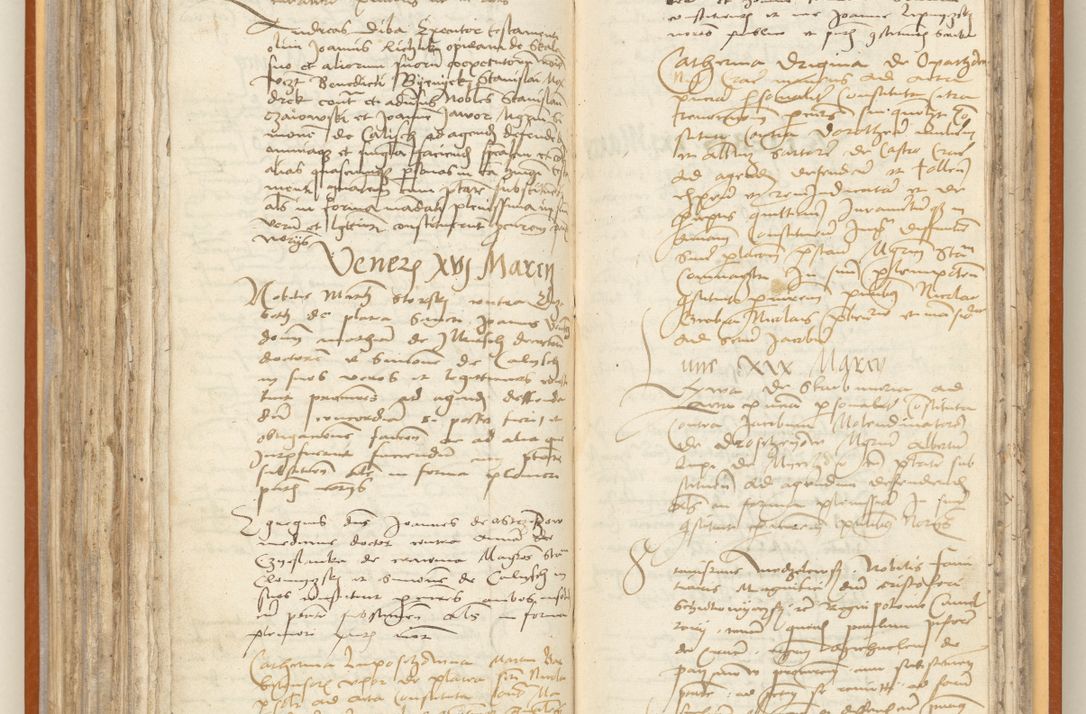 Zdjęcie nr 190 dla obiektu archiwalnego: [Acta constitutionum procuratorum officialia coram Jacobo de Ercieschow]