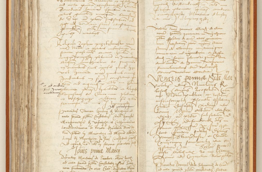 Zdjęcie nr 187 dla obiektu archiwalnego: [Acta constitutionum procuratorum officialia coram Jacobo de Ercieschow]