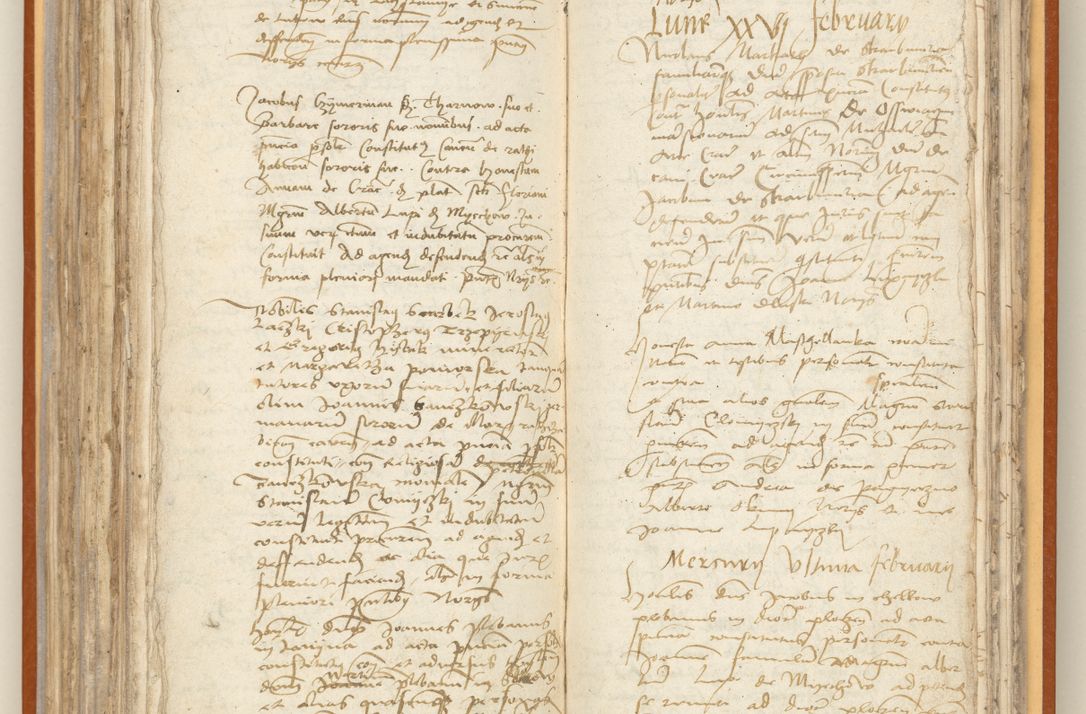 Zdjęcie nr 186 dla obiektu archiwalnego: [Acta constitutionum procuratorum officialia coram Jacobo de Ercieschow]