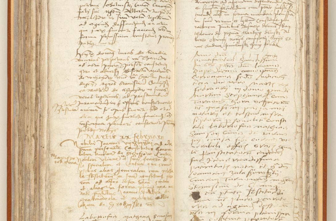 Zdjęcie nr 185 dla obiektu archiwalnego: [Acta constitutionum procuratorum officialia coram Jacobo de Ercieschow]