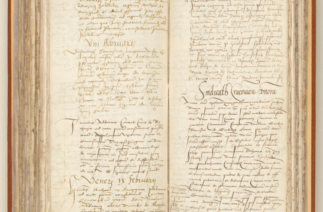 Zdjęcie nr 184 dla obiektu archiwalnego: [Acta constitutionum procuratorum officialia coram Jacobo de Ercieschow]