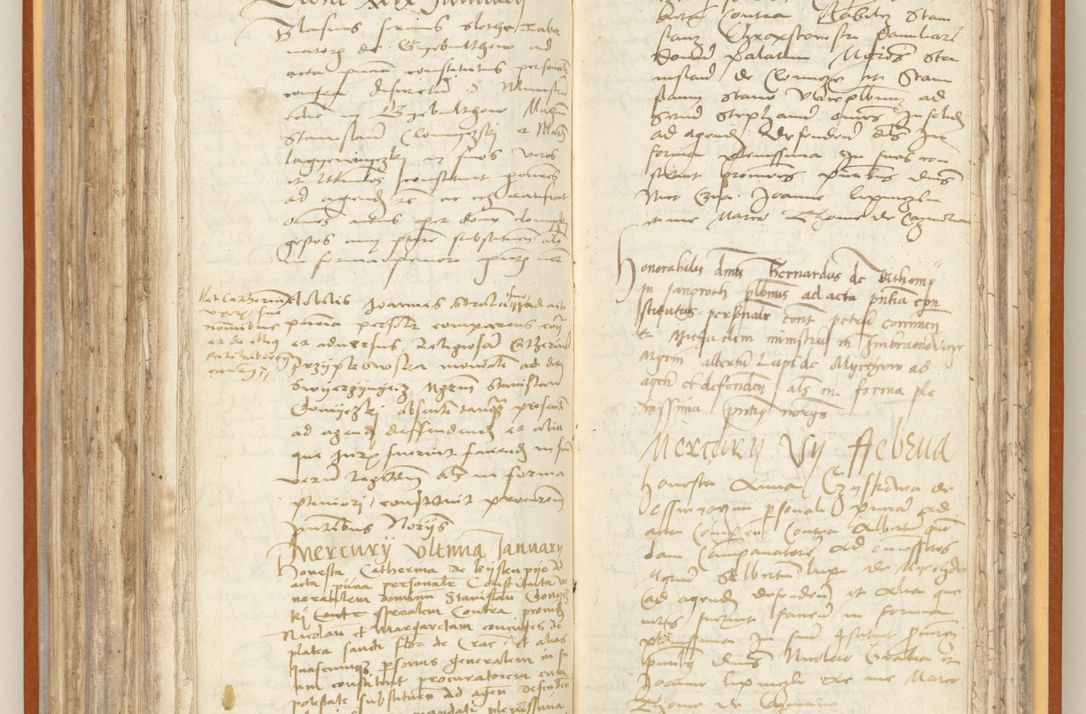 Zdjęcie nr 183 dla obiektu archiwalnego: [Acta constitutionum procuratorum officialia coram Jacobo de Ercieschow]