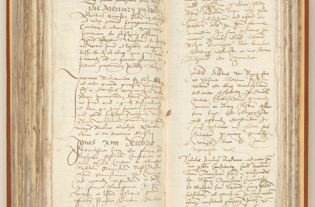 Zdjęcie nr 177 dla obiektu archiwalnego: [Acta constitutionum procuratorum officialia coram Jacobo de Ercieschow]