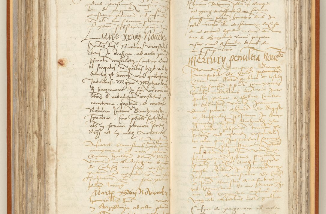 Zdjęcie nr 174 dla obiektu archiwalnego: [Acta constitutionum procuratorum officialia coram Jacobo de Ercieschow]