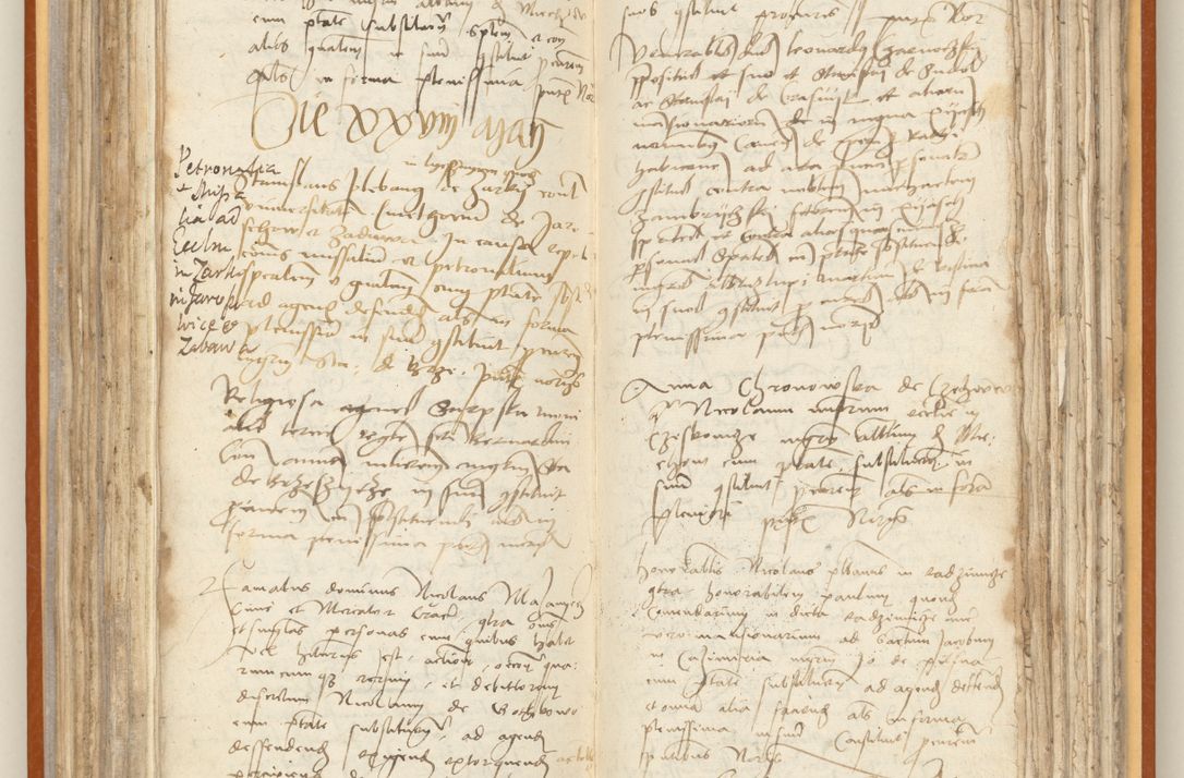 Zdjęcie nr 141 dla obiektu archiwalnego: [Acta constitutionum procuratorum officialia coram Jacobo de Ercieschow]